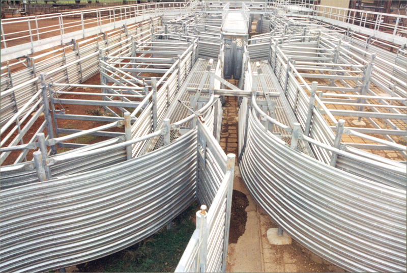 saleyards